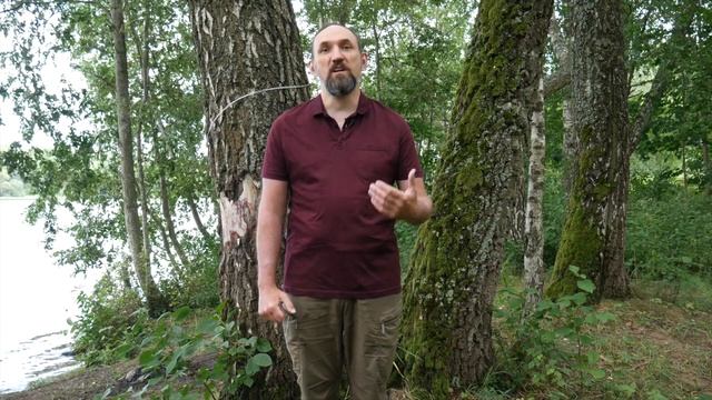 Природные Стихии в Славянской Традиции. [Ведзнич]