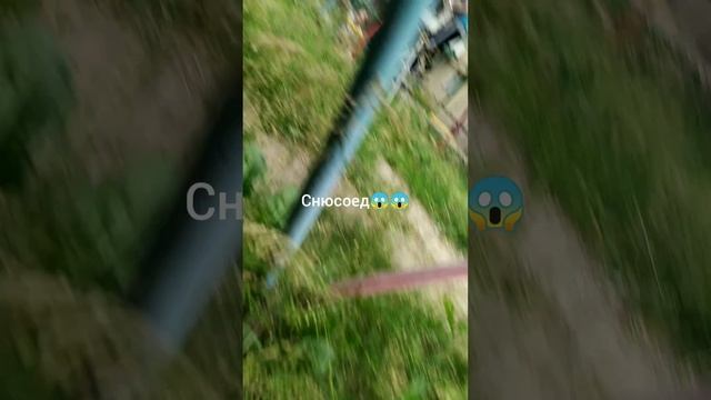 снюсоед????