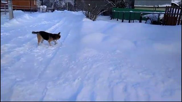 Новый год закончился, а снегопады продолжаются. смотреть онлайн