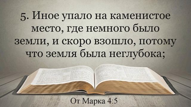 Лучшая Видео Библия. Чтение Евангелие от Марка. Главы 3-4. Синодальный перевод