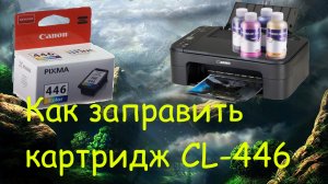 Как заправить картридж CL-446.