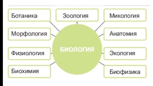 БИОЛОГИЯ 7 КЛАСС. ОТРАСЛИ НАУКИ,ИЗУЧАЮЩИЕ ЖИВЫЕ ОРГАНИЗМЫ.