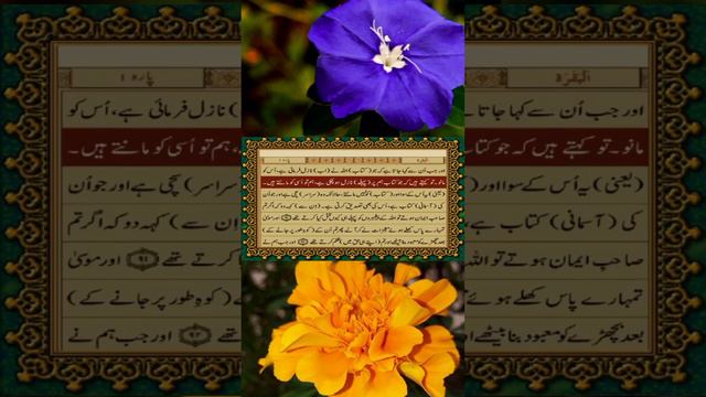 Quran pak tarjuma // urdu // surat al baqarah // part 34