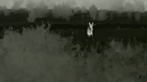 iray xEye 2 E3 plus v2.0