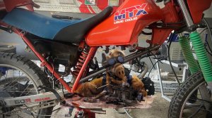 Honda MTX 50 swap китайского двигателя