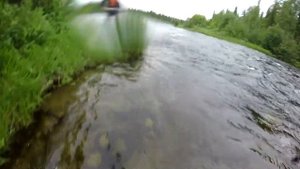 Кольский полуостров. Дорога длинною в Умбу. Сёмга, хариус, кумжа.