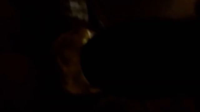 Проверка яиц в инкубаторе на оплод. Яйца с трещиной ?! смотреть онлайн