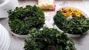 #РукоделиеотГалины Сушим кабачки, петрушку, острый перец в электросушилке