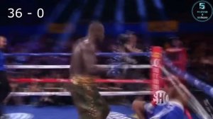 ТОП 5 НЕПОБЕЖДЕННЫЕ БОКСЕРЫ