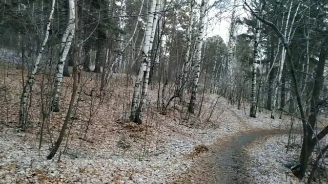 показываю первый снег на листьях смотреть онлайн