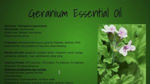 Geranium Essential Oil - Benefits & Uses