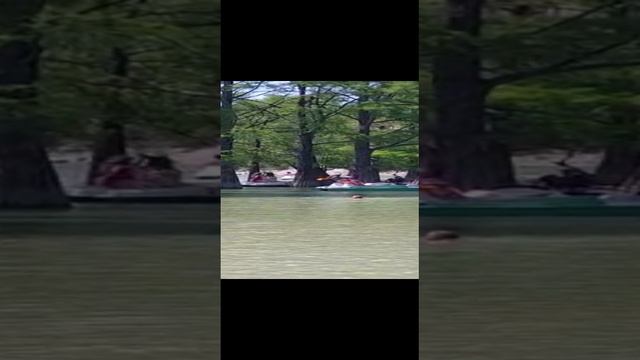 VID-20220618-WA0019.mp4