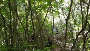 Заброшенные дома на краю деревни Саратовской области .