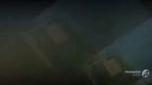 отели египта с сеткой от акул
