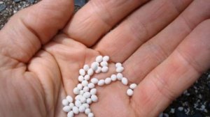 Пошаговая инструкция по замачиванию семян в перекиси водорода перед посевом