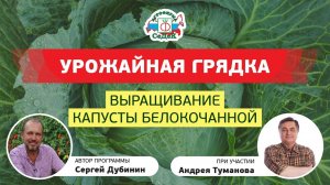 ВЫРАЩИВАНИЕ КАПУСТЫ БЕЛОКОЧАННОЙ