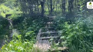 Памятник природы «Родник у дер. Муковня» 
#здравствуйте_явашаООПТ 30/146