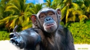 Мы юристы пофигисты! =~_~=