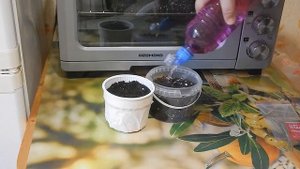 Обеззараживание земли для рассады в микроволновке.