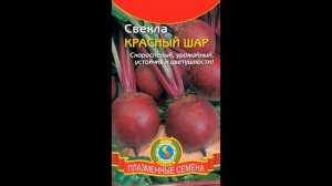 Обзор сорта свекла "Красный шар" (характеристики, свойства, фото)