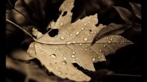 Omnia   Mabon