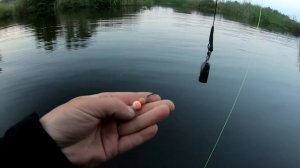САЗАНЫ ТОРПЕДЫ ПРУТ КРУЖКИ! ловля сазана на кружки, рыбалка на дикого сазана, карпа в кувшинках.