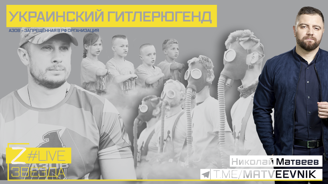 «Украинский гитлерюгенд»