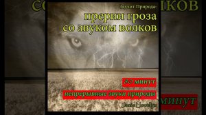 Звучит Природа: прерии гроза со звуком волков...