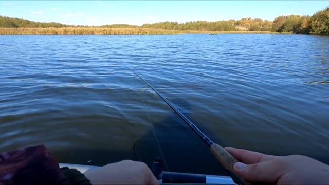 Я В ШОКЕ! Попал на жор хищника! Рыбалка с лодки 2022 смотреть онлайн