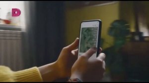 Анонсы, заставки, рекламные блоки + погода Домашний (17.12.2021)