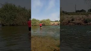 рыбачим ловим маринку на речке