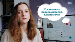 Первая Помощь Для Животных - Это Вы! Что Делать Пока Рядом Нет Ветеринара