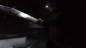 Ловля налима зимой на жерлицы