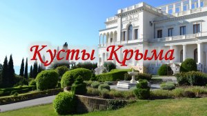 🌿 3.Кусты Крыма — знакомимся, изучаем.