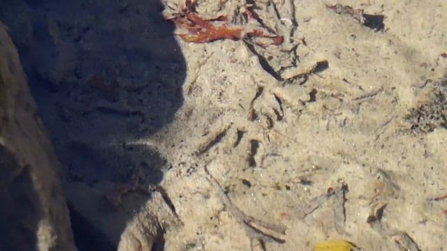 Умба - Белое море - 2014 смотреть онлайн