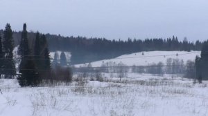 Проблемы во дворе дома в деревне!