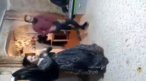 цыгани Череповец