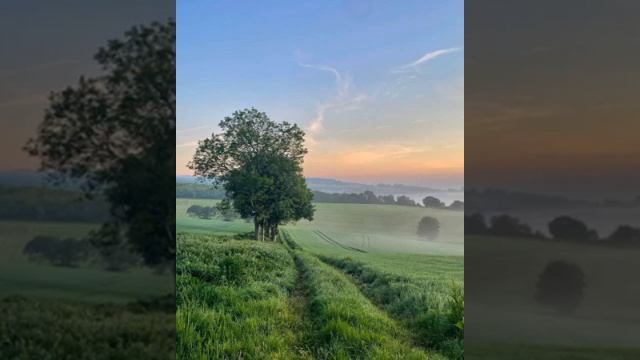 10. #Находчивость #чародейка, #бумажныезвуки, #стихияпарамир, #годбумаги, #простоенот, #мёднаш смотреть онлайн