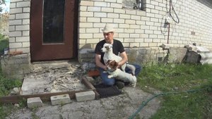 Как сделать раствор цемента крепким. Участок зарос травой.