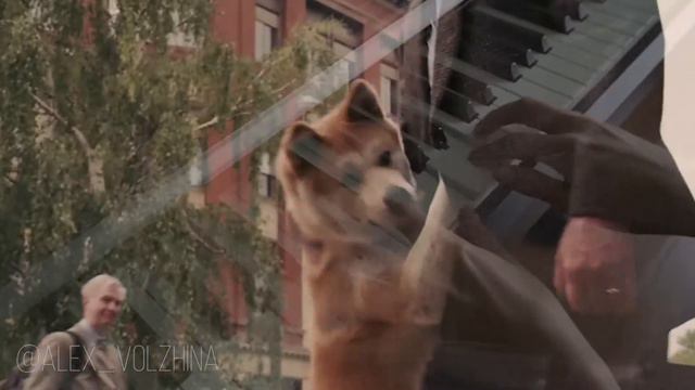 Хатико (фортепианная аранжировка Александры Волжиной) смотреть онлайн