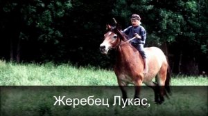 Эмиль из Леннеберги. Краткий обзор.