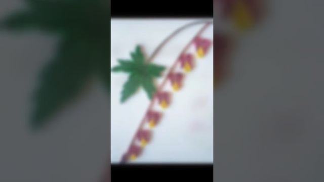 Красивые открытки ручной работы №2 смотреть онлайн