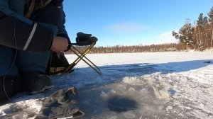 Сезон твердой воды 23-24 открыт! Ура! Первый лед.