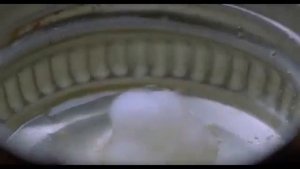 Рекламное очко Выпуск 4   Пчёлы и туалет