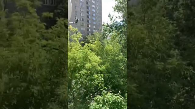 Продажа однушки. ЗАО, Москва, ул. Ельнинская, д. 15 смотреть онлайн