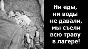 ШОКИРУЩЕЕ СВИДЕТЕЛЬСТВО - Вячеслав Бойнецкий