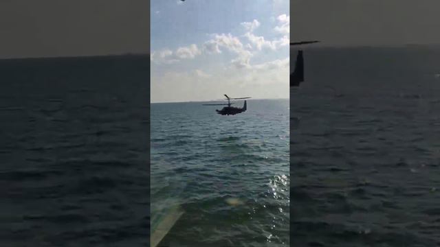 Залипательное видео с нашей вертушкой Ка-52 смотреть онлайн