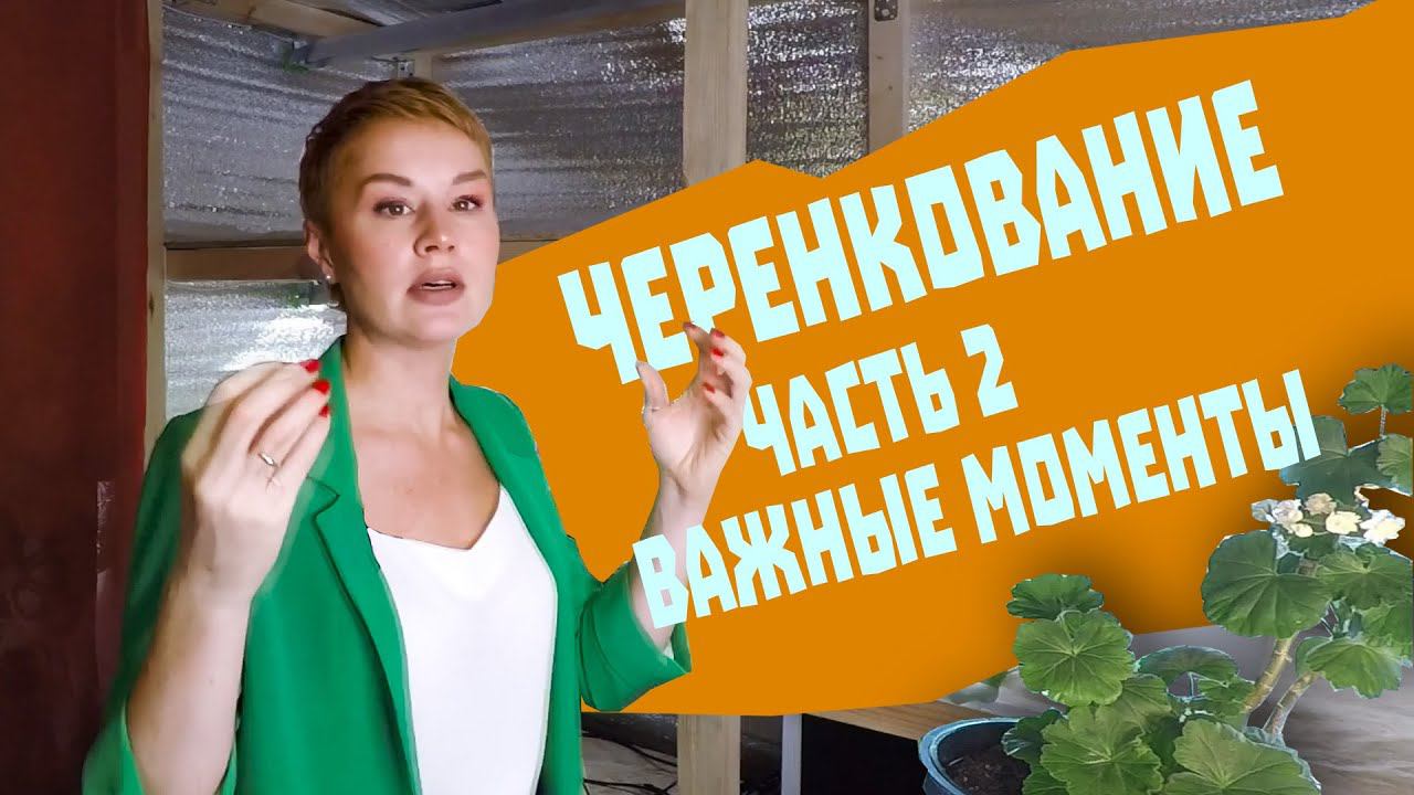 Черенкование. Часть 2. Важные моменты при черенковании.