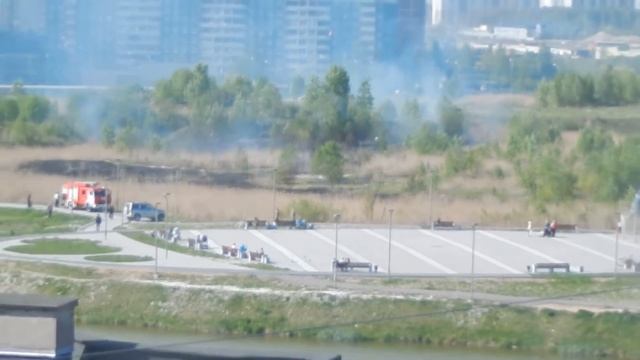 В Приморском районе у парка Озеро Долгое горел тростник смотреть онлайн