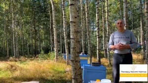 ОБРАБОТКА И ПОДКОРМКА ПЧЁЛ ОСЕНЬЮ